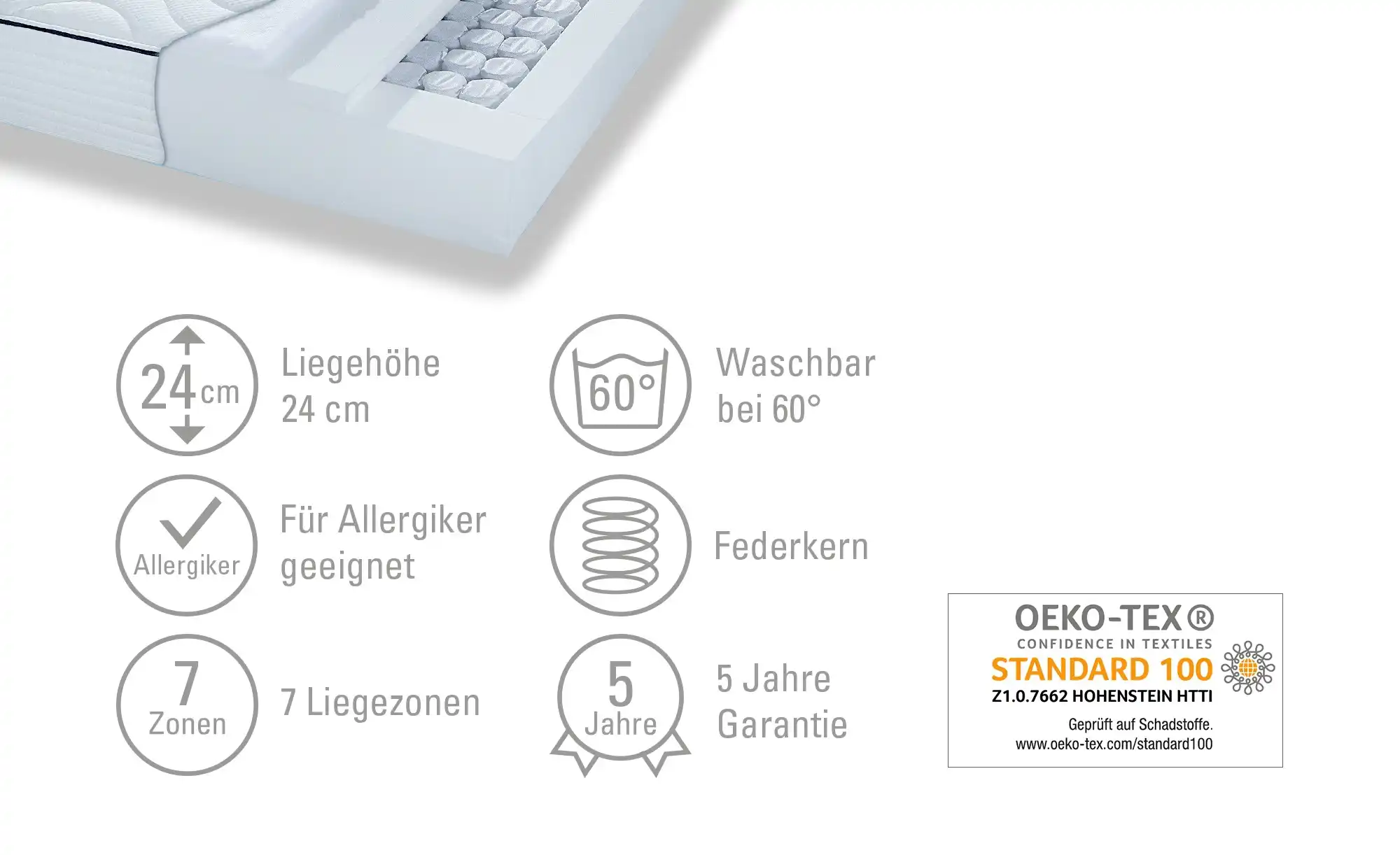 IRISETTE 7-Zonen Tonnentaschenfederkern-Matratze Irisette Fehmarn TFK 500