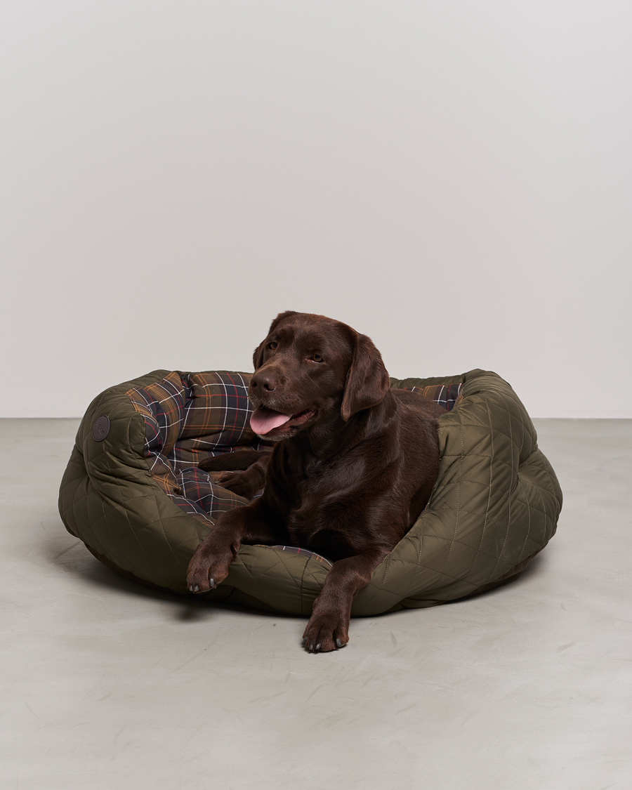 Quilted Dog Bed 35' Olive