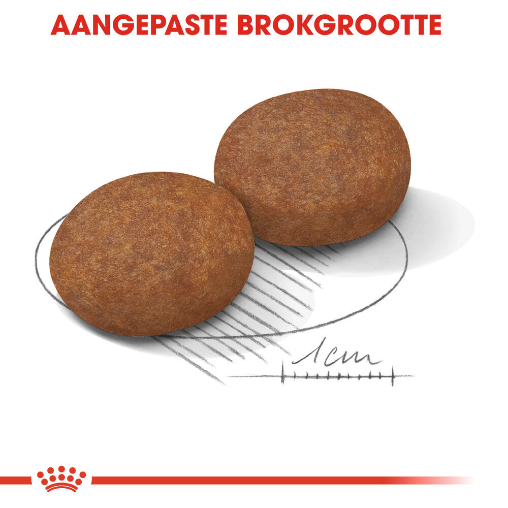 Royal Canin SHN Medium Adult 7  - Hondenvoer - 4 Kilogram - gevogelte