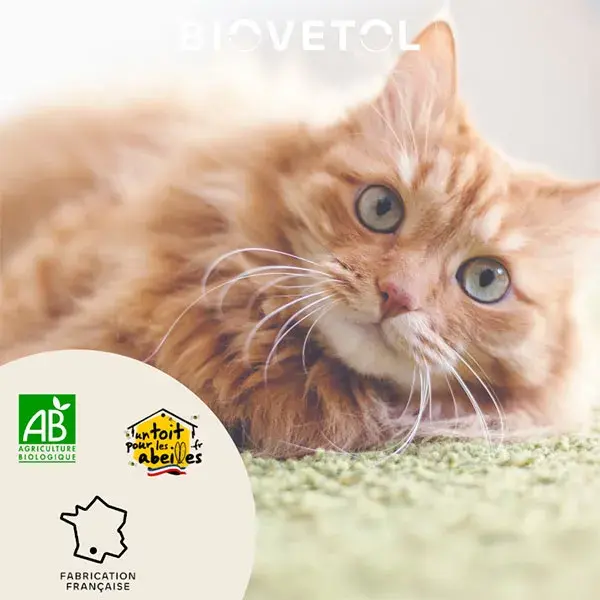 Biovetol - Comprimés Bien-être Intestinal Chat / chaton Bio - x10