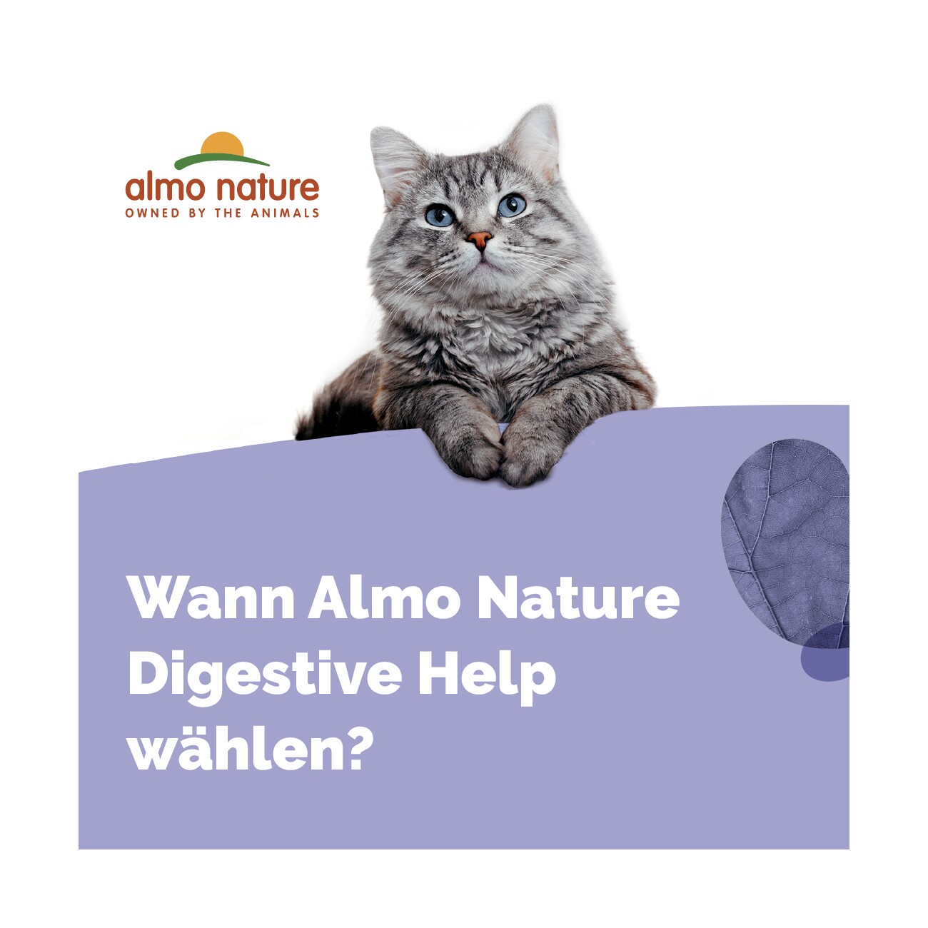 Almo nature Intestinal Help 30x70 g Fisch