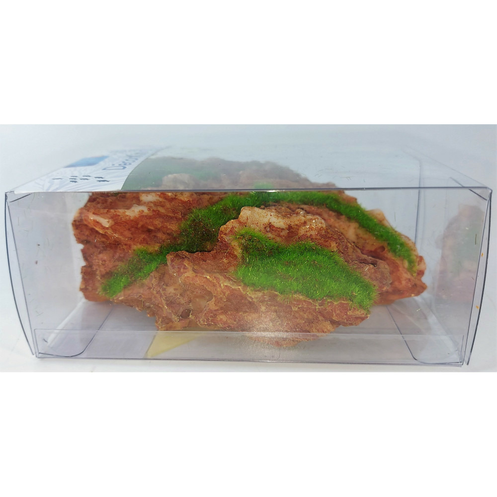 Déco idro kit arizona décor qui pousse petit model 12 x 8.6 x 5 cm