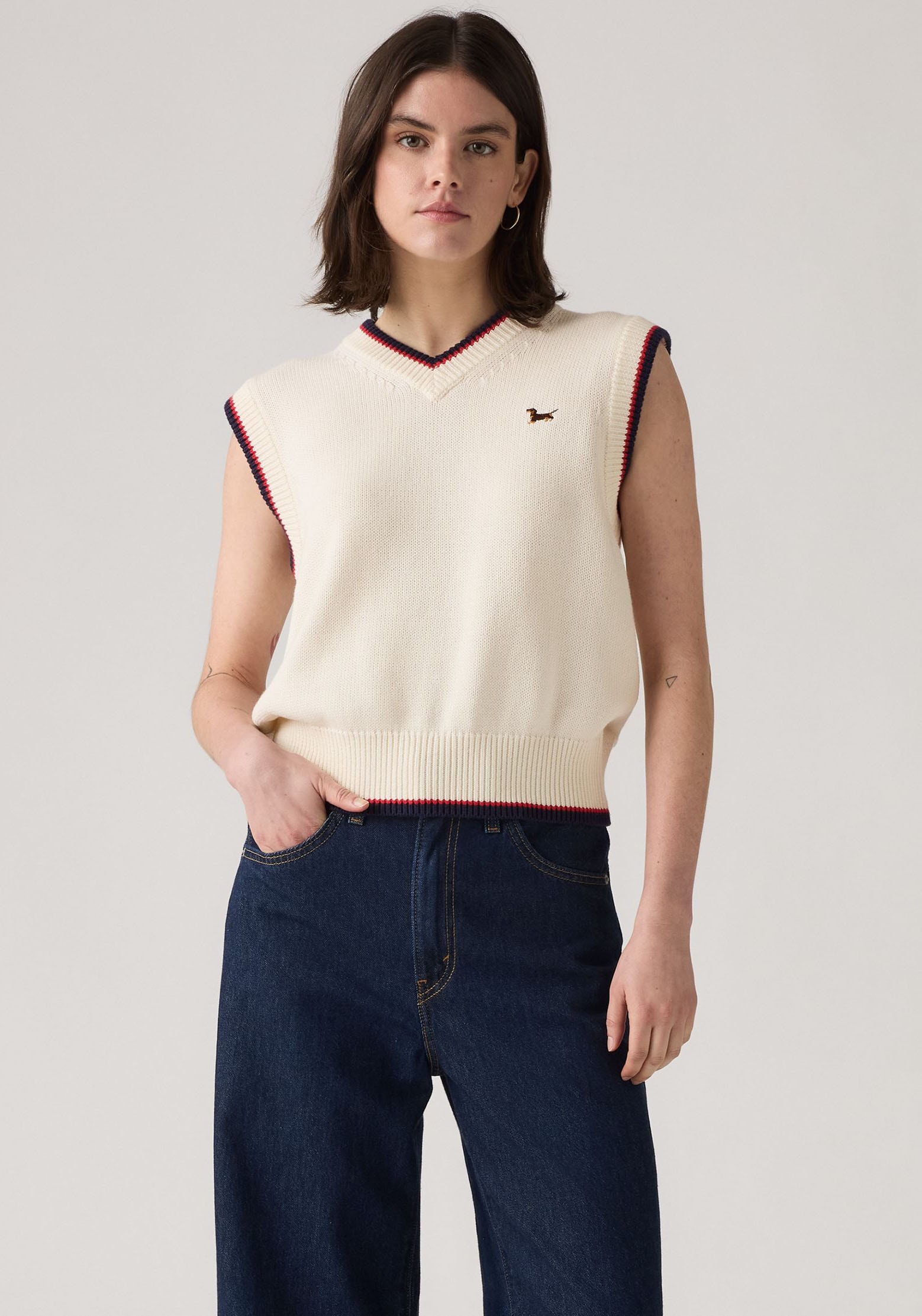 Levi's® Pullunder »CHARLIE VNECK VES«, Feinstrick mit Wollanteil