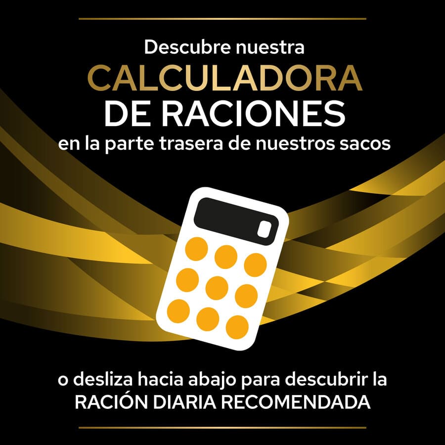 Ração Pro Plan Veterinary Diets Joint Mobility para cães