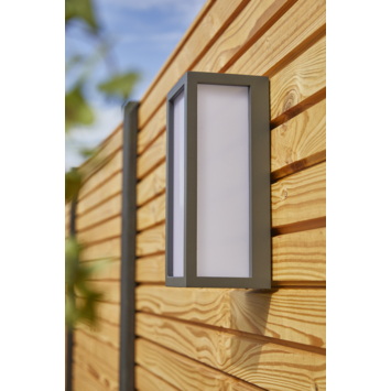 GAMMA buitenlamp Birmingham grafiet