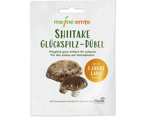 Paddenstoelen kweekset, mijn oogst, Shiitake deuvels met 20 deuvels voor het kweken op boomstammen, oogst tot 3 jaar, Pasania paddenstoel