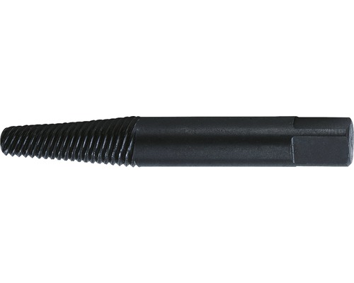 Rennsteig schroefextractorset, 5-delig