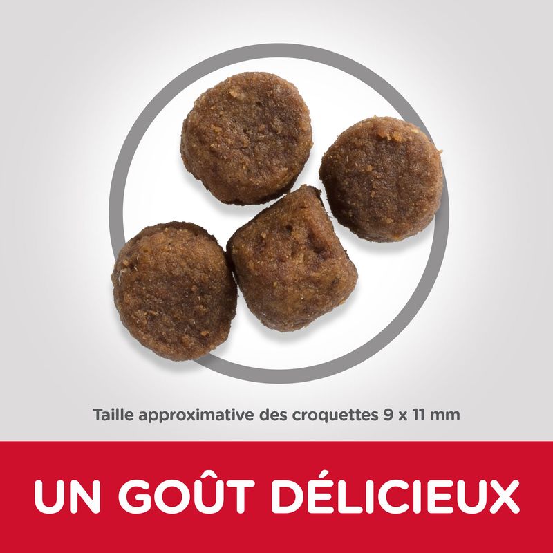 Hill's Science Plan Puppy <1 Medium agneau, riz à prix discount sur bitiba.fr