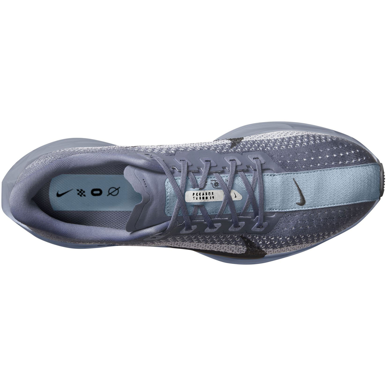 Nike Pegasus Plus Heren