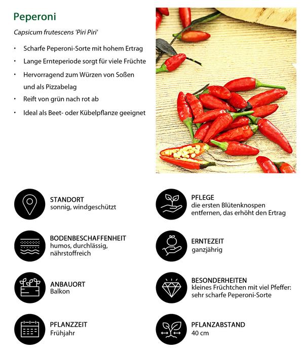 Peperoni 'Piri Piri'