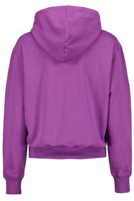 Raizzed paarse dames sweater