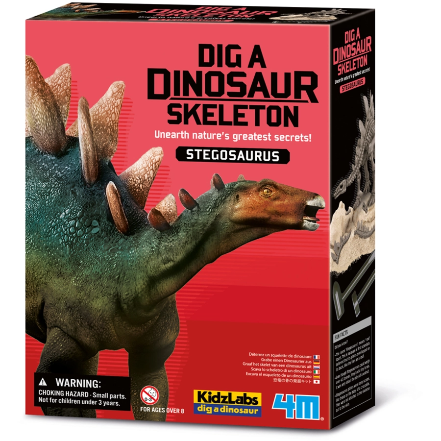 4M KidzLabs - Dinosaurier Ausgrabung Stegosaurus Mehrfarbig