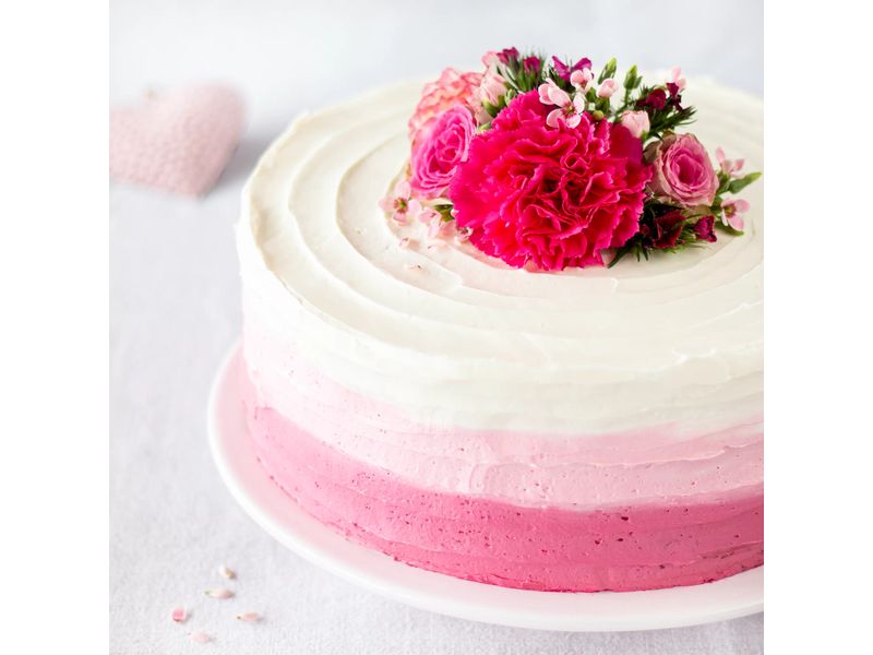 Städter Springform Emaille mit Flachboden, 24 cm Backform für Kuchen