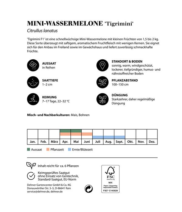 Dehner Premium Samen Mini-Wassermelone