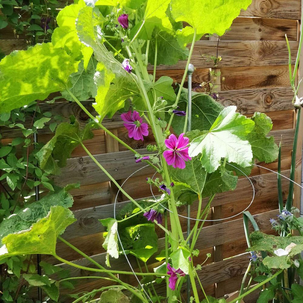 PLANTESTØTTE BELLISSA PREMIUM 130CM