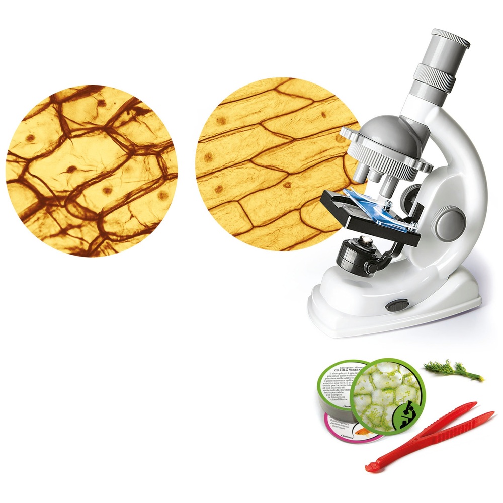 Clementoni Science & Play Wissenschaftliches Spielzeugmikroskop
