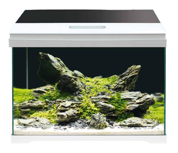 amtra Aquarium-Set Modern Tank 40 LED, 28 l,