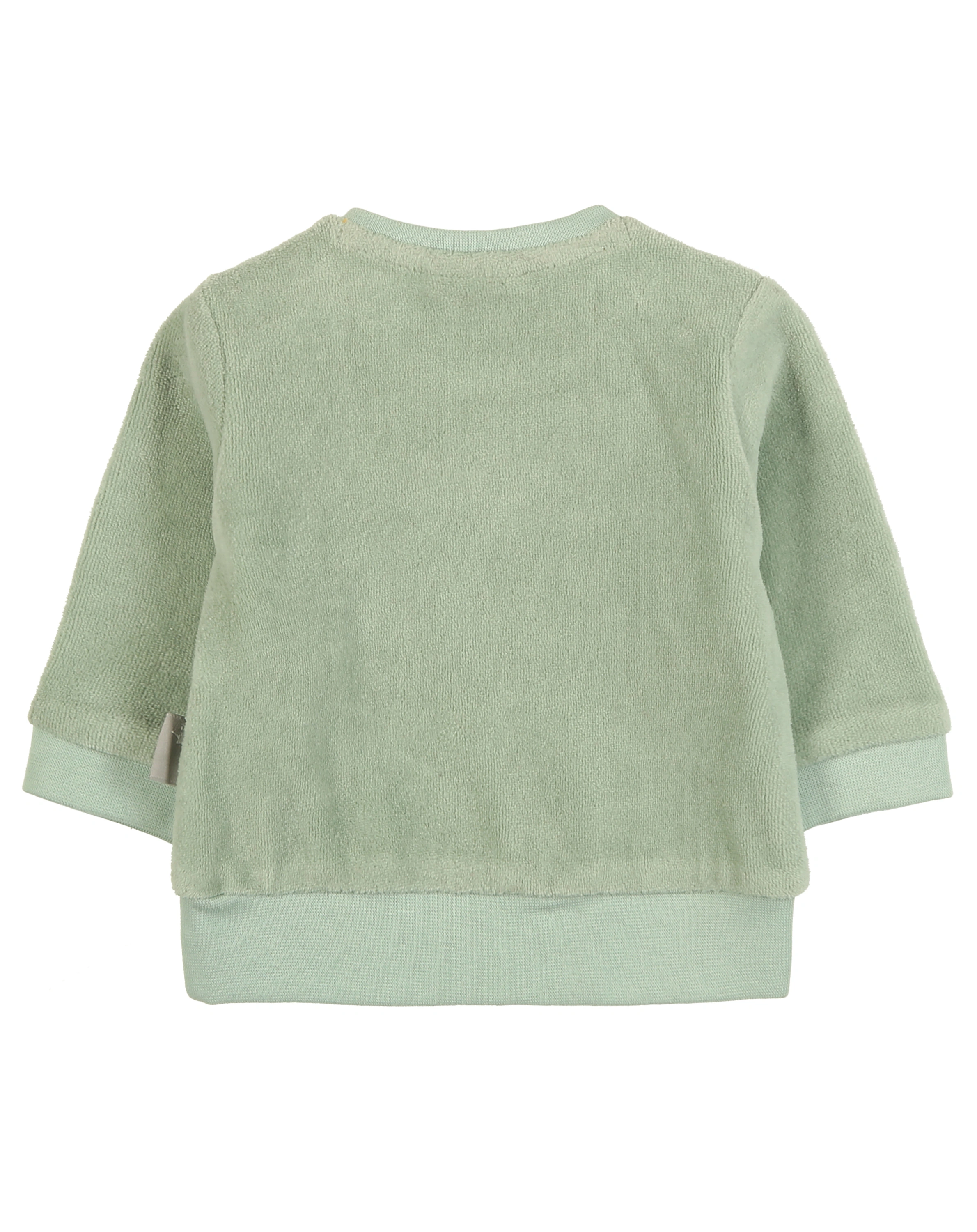 Nicki-Langarmshirt KATZE in mintgrün