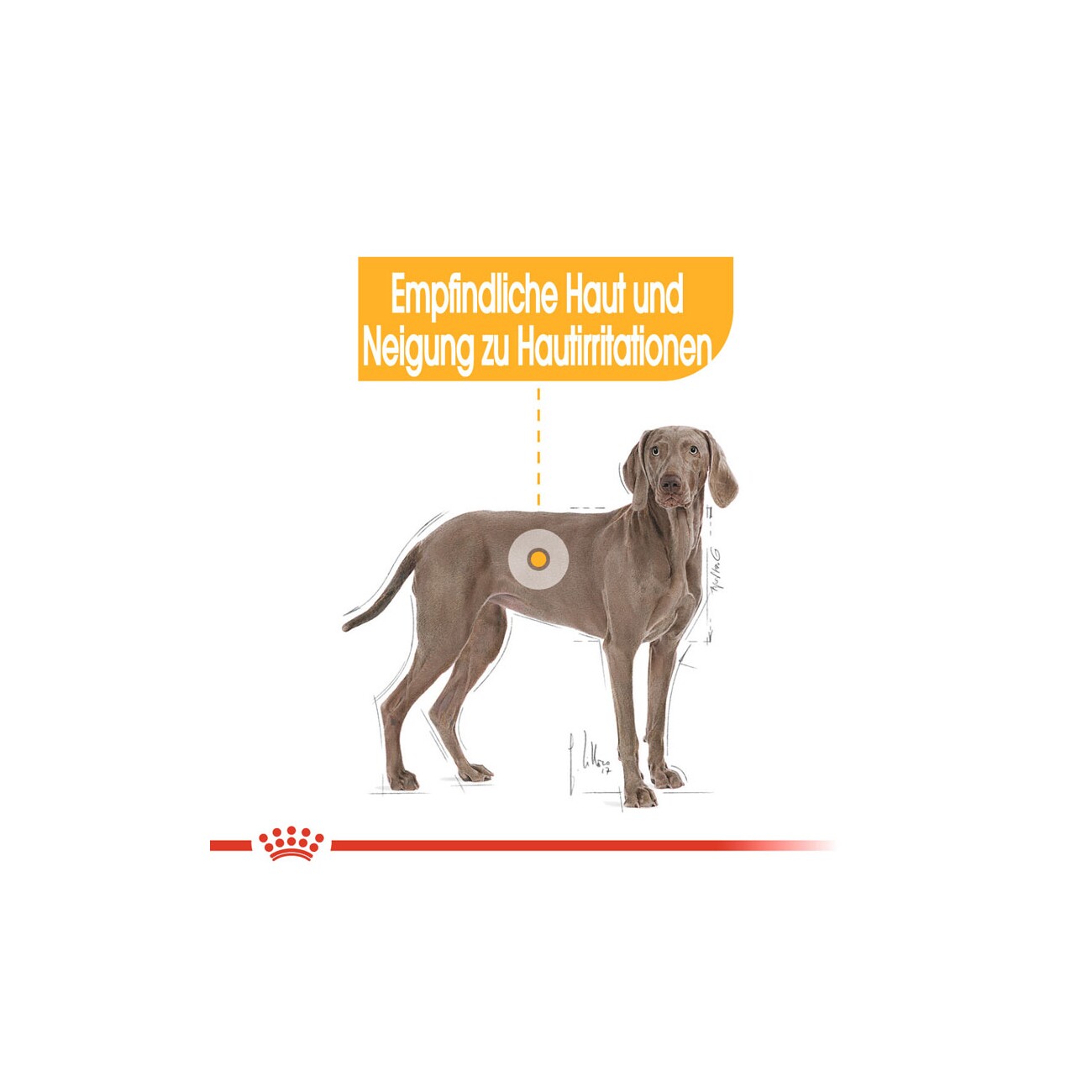 ROYAL CANIN Dermacomfort Maxi 3 kg