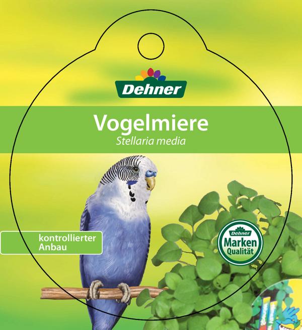 Dehner Lieblinge Vogelmiere - Stellaria media