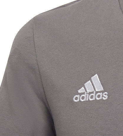adidas Performance T-shirt - Ent22 Tee Y - Gr?/Hvid