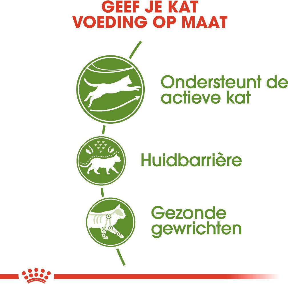 Royal Canin kattenvoer Outdoor 400 g
