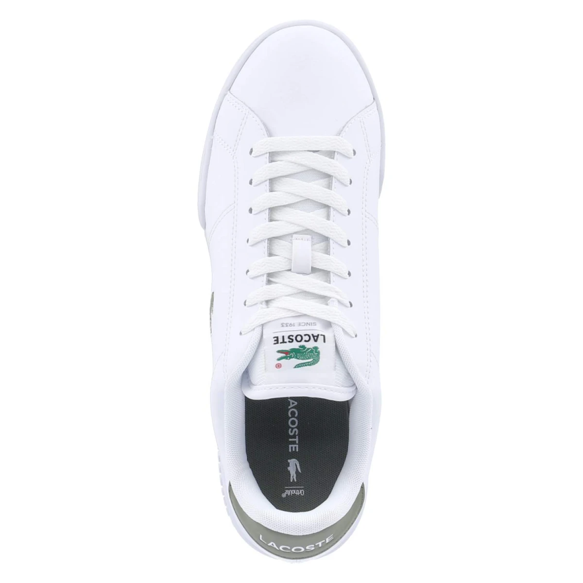 LacosteLow Sneaker CARNABY - wht/khk