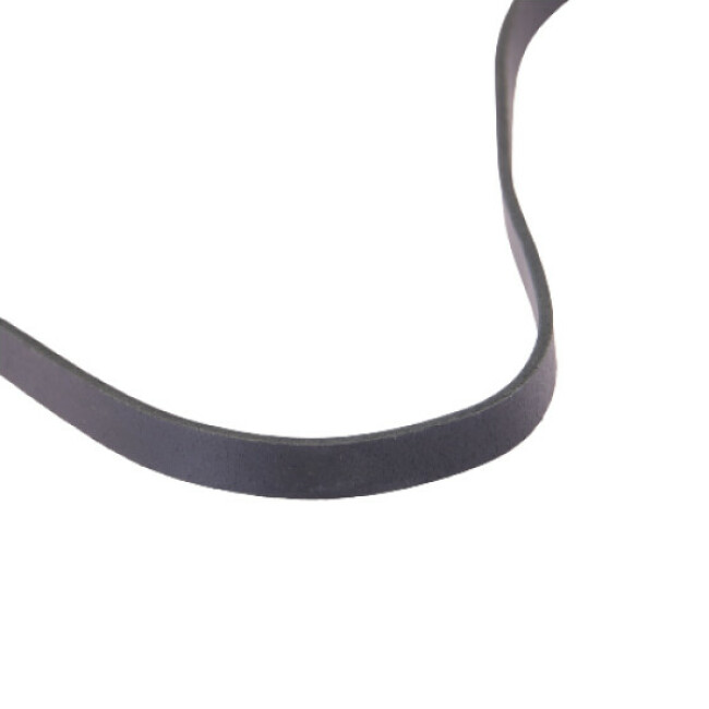 Laisse simple en cuir pour chien 1 m