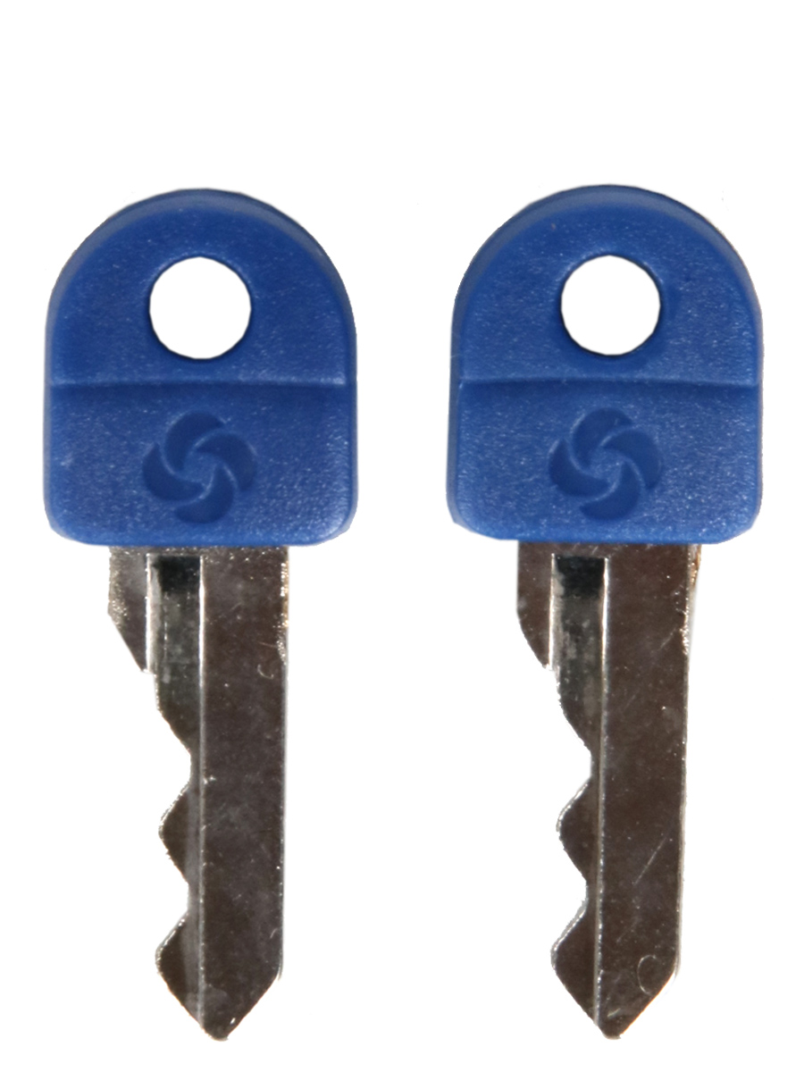 Set de 2 cadenas À clÀ TSA grande anse Samsonite