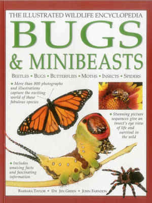 Illustrated Wildlife Encyclopedia: Bugs & Minibeasts (Hardback)