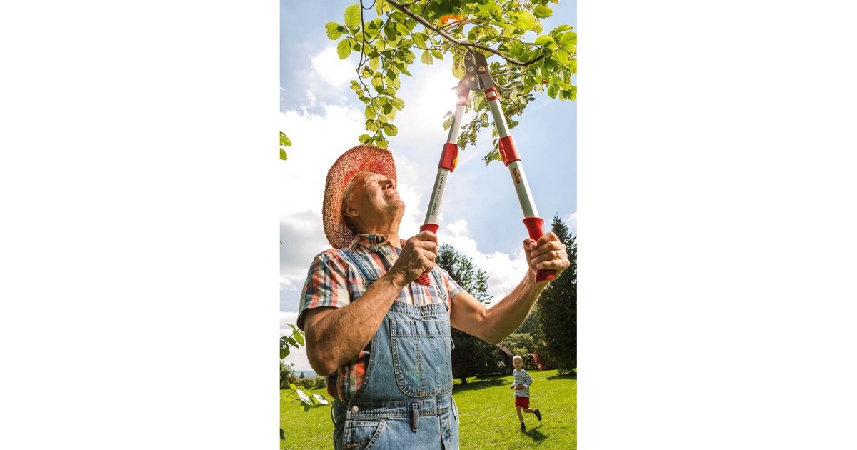 WOLF-GartenTakkenschaar POWER CUT*** RS 900 T  (Rood/grijs)