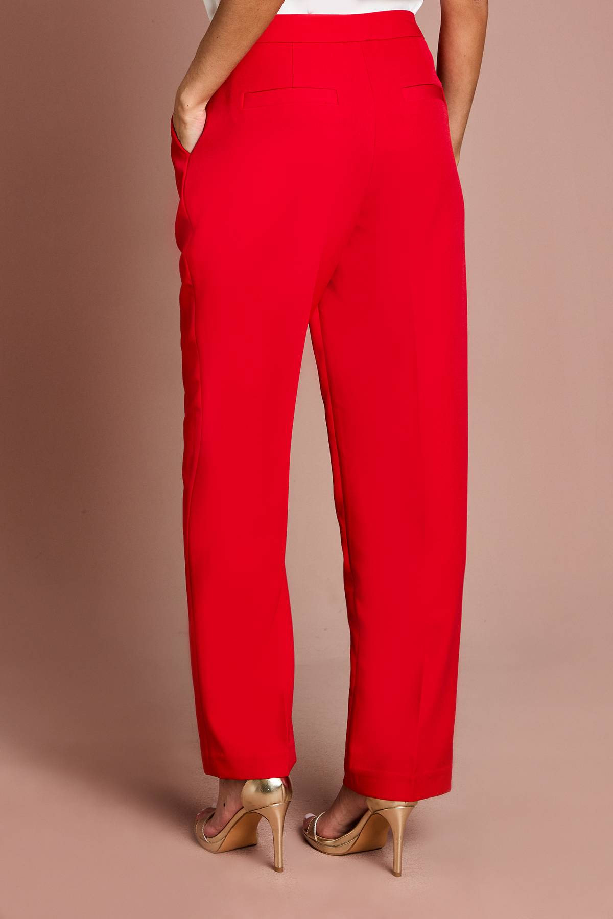 Coast Pantalon De Costume Droit À Pinces