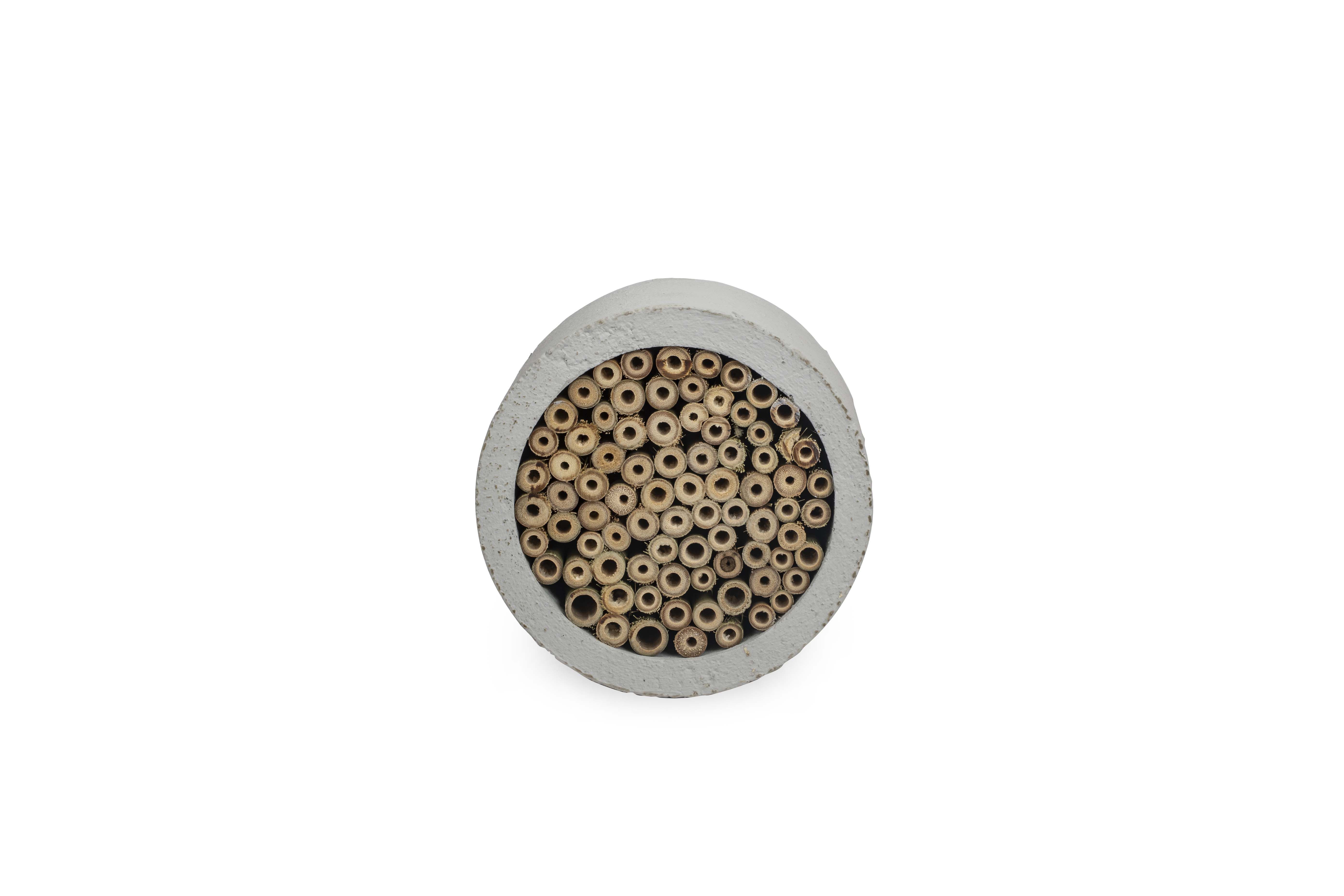 CJ Wildbird Foods Matias - Insectenhotel - Geel