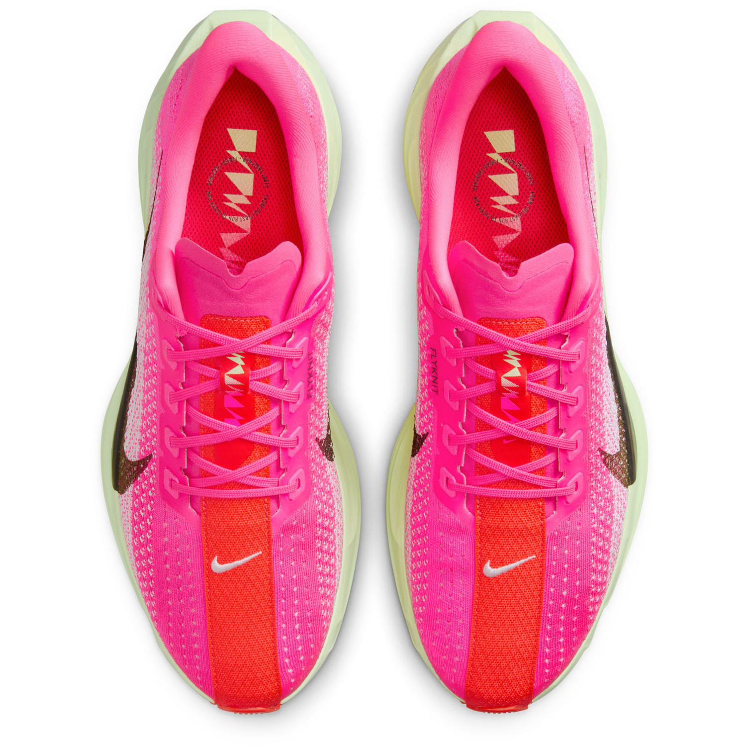 Nike Pegasus Plus Heren