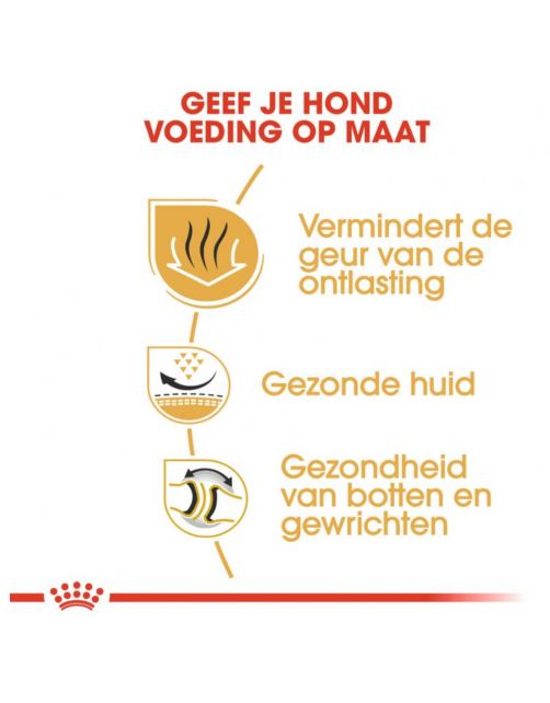 Royal Canin Bulldog Adult - Hondenvoer