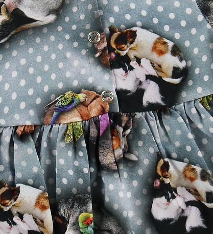 Molo Kleid - Calypso - Pets'n Dots