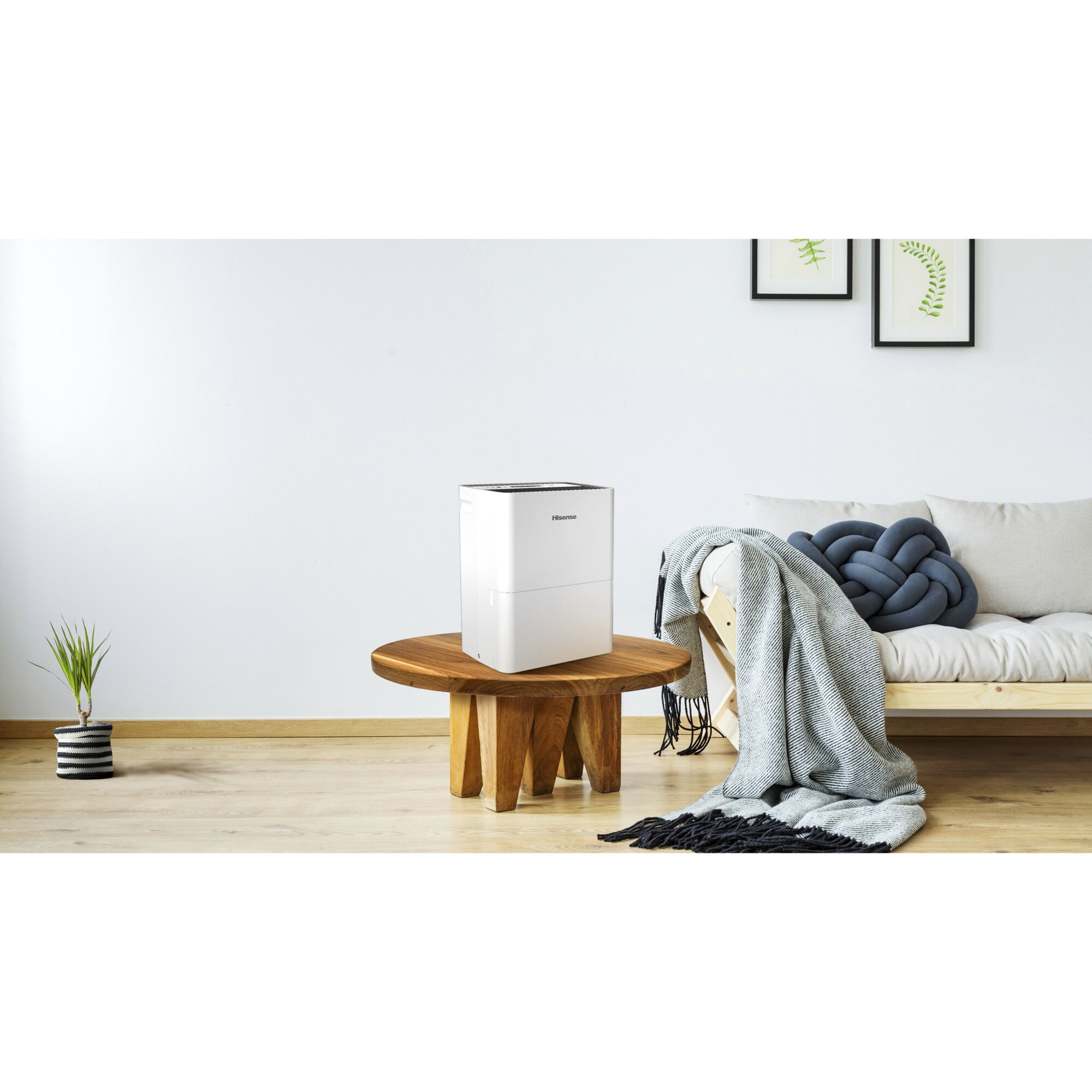 Hisense Luftentfeuchter D16CW