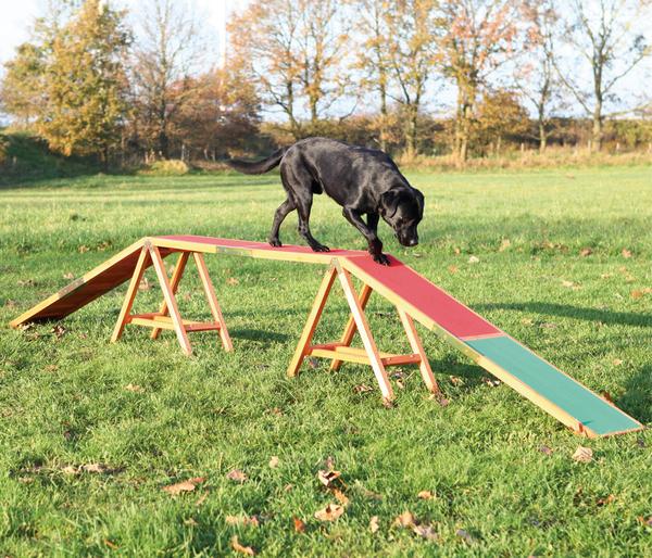 Trixie Agility Steg Fun, ca. B30/H64/T456 cm