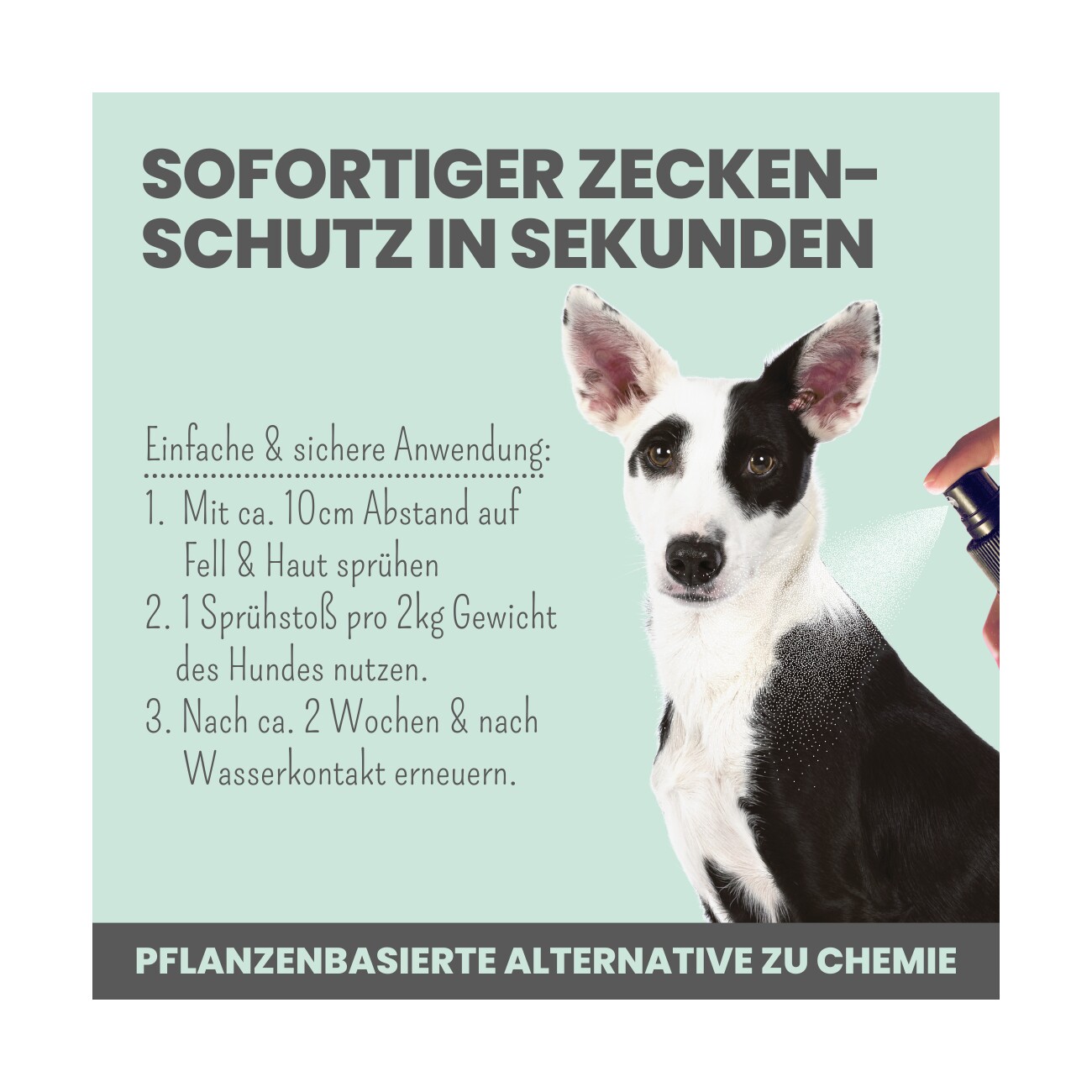 noms+ Zpray für Hunde gegen Zecken, Flöhe, Milben & Mücken 100ml