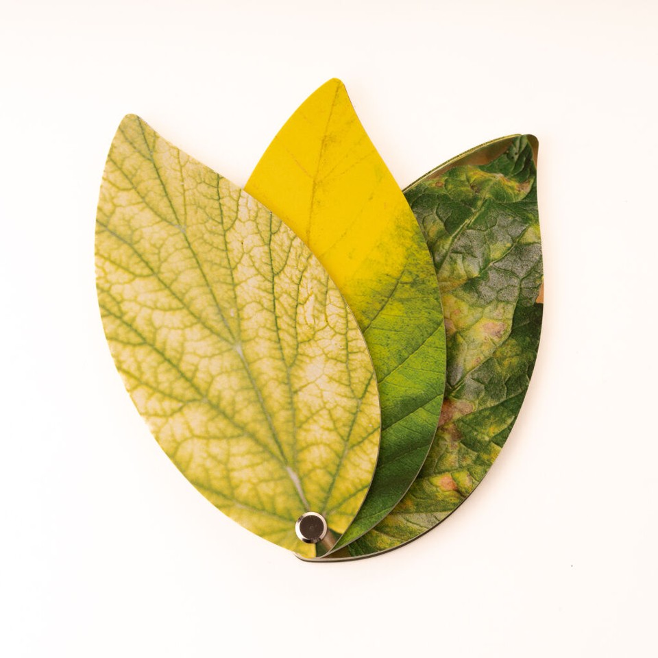 Healthy Plant Book
