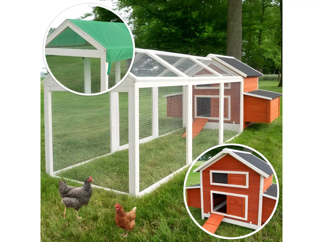 Poulailler en bois pour jardin extérieure Cage Canard avec Nichoir Modèle: 158 Betty rouge 301x171x113cm(LxlxH)AVEC extension