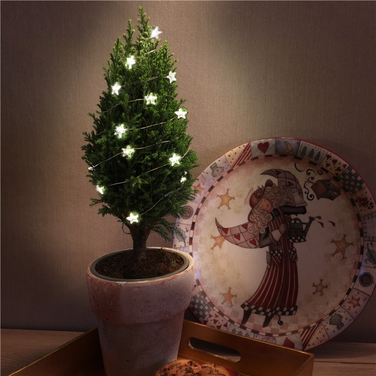 (2.2m) 20 LED's Weihnachts Deko Lichterkette Sternen Winter Beleuchtung Batteriebetrieben (60332) - Warmweiss