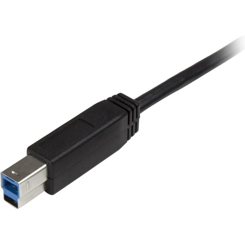 StarTech.com Câble USB-B vers USB-C de 2m, USB 5Gbps, Cordon de Données, USB 3.0, Câble de Transfert de Données USB-C