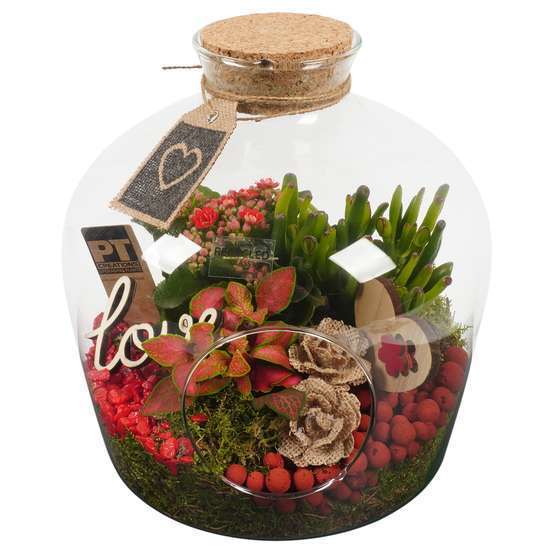 Terrarium, bouchon liège