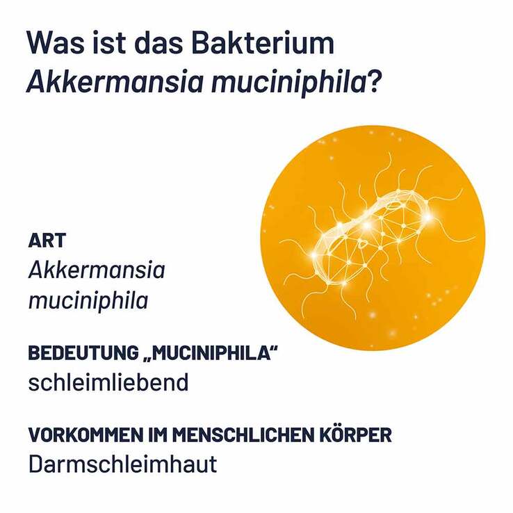 Probio-Cult AKK1 Akkermansia Syxyl Tabletten, 2x30 St