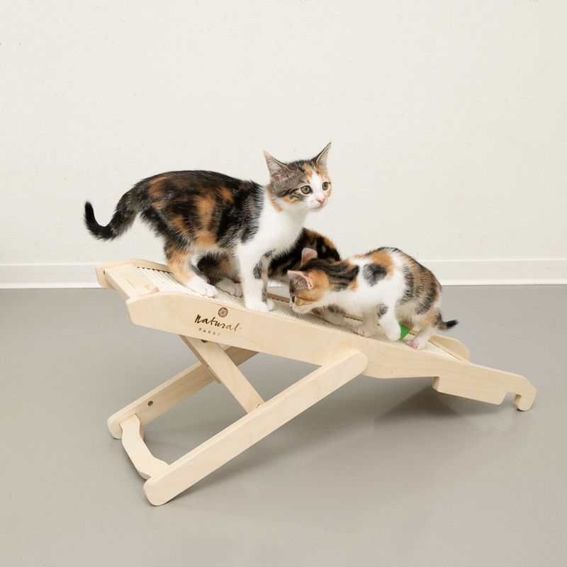 Griffoir Natural Paradise Poppy pour chat