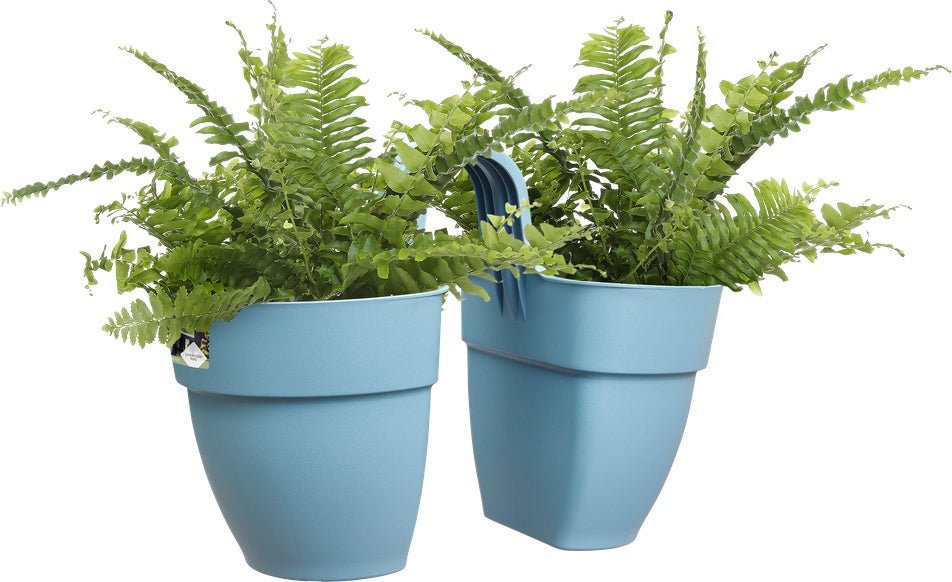 Elho balkonbak Vibia Campana Flower Twin blauw 20,5 x 38,4 x 26,5 cm