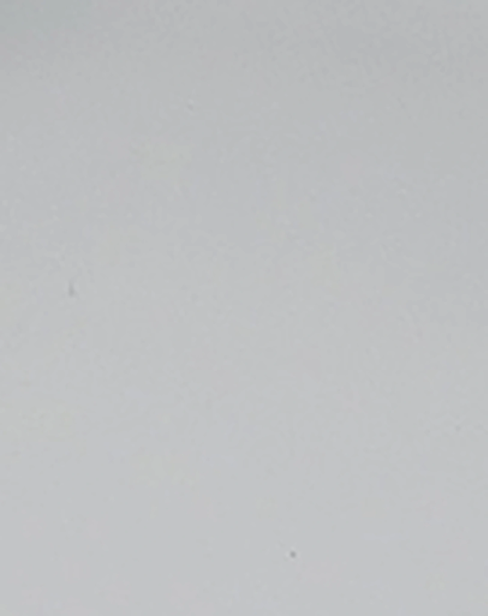 Silikon-Menüteller PEEKABOO - DEER FRIENDS in grau