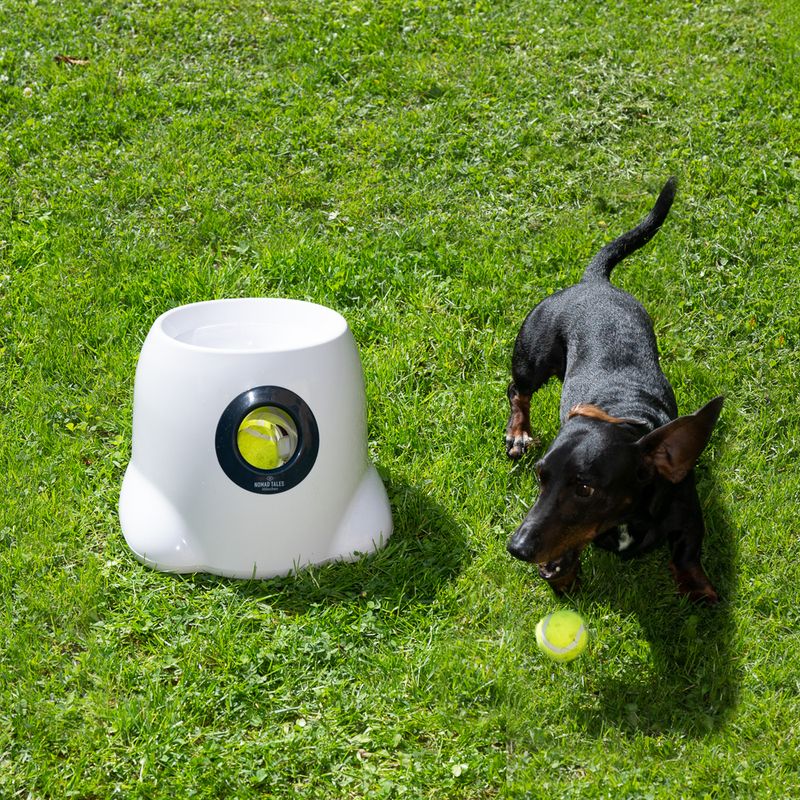 Lanceur automatique de balles de tennis Nomad Tales Bloom