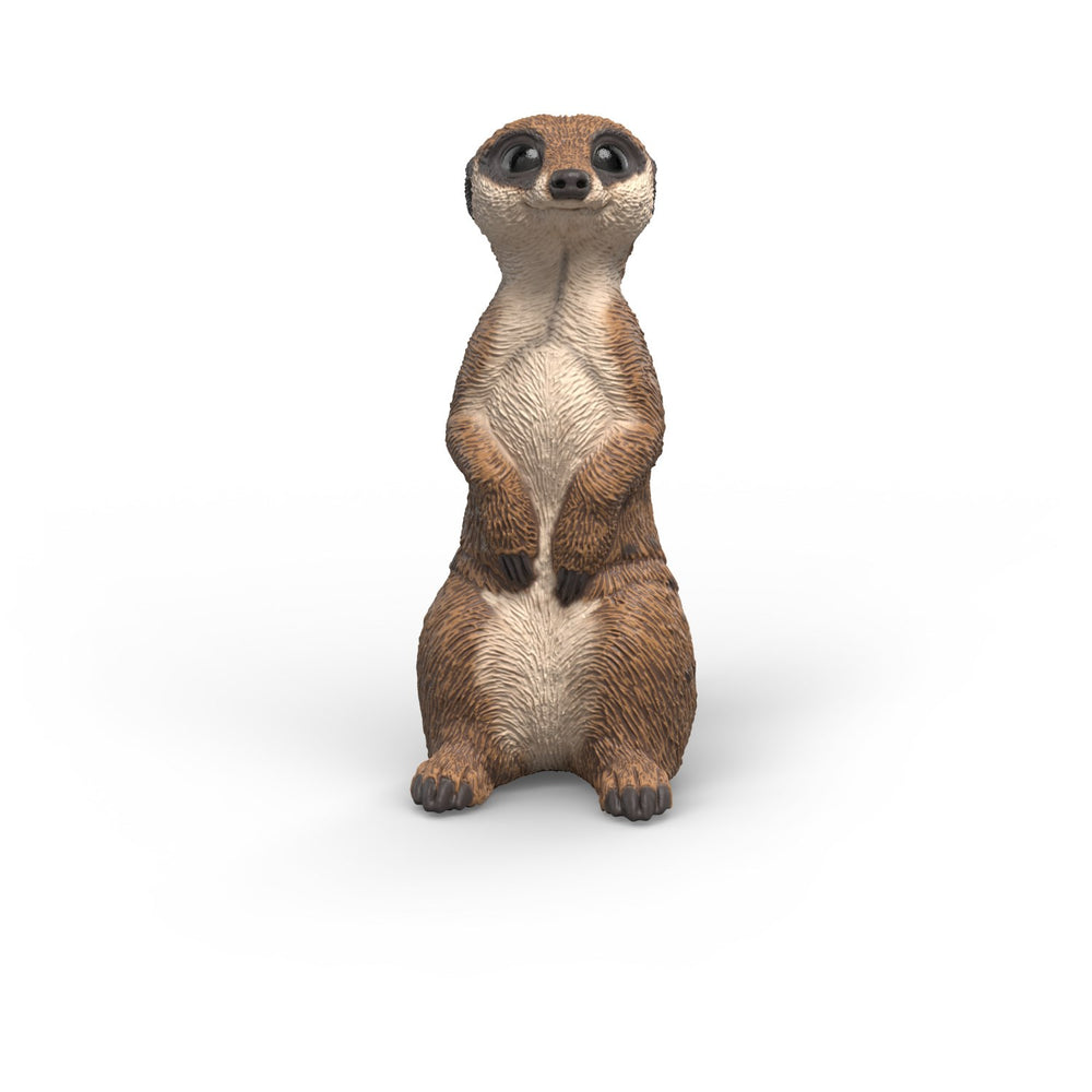 Køb Schleich Surikat